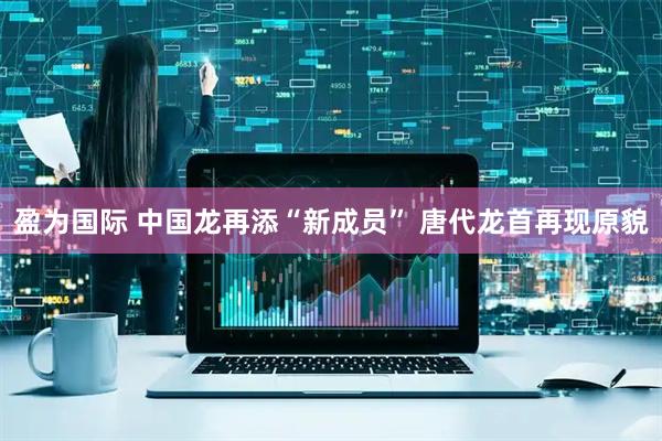 盈为国际 中国龙再添“新成员” 唐代龙首再现原貌