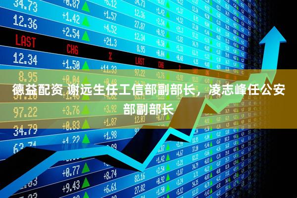 德益配资 谢远生任工信部副部长，凌志峰任公安部副部长
