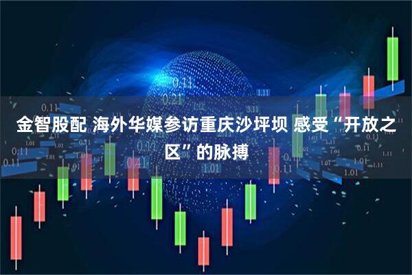 金智股配 海外华媒参访重庆沙坪坝 感受“开放之区”的脉搏