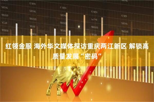 红领金服 海外华文媒体探访重庆两江新区 解锁高质量发展“密码”