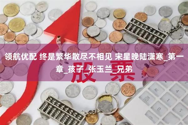 领航优配 终是繁华散尽不相见 宋星晚陆潇寒_第一章_孩子_张玉兰_兄弟