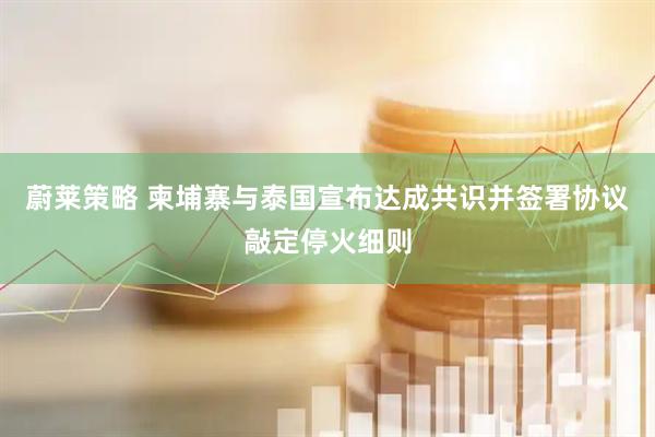 蔚莱策略 柬埔寨与泰国宣布达成共识并签署协议敲定停火细则