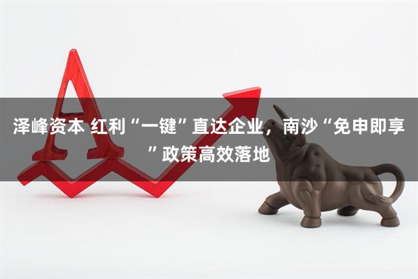 泽峰资本 红利“一键”直达企业，南沙“免申即享”政策高效落地