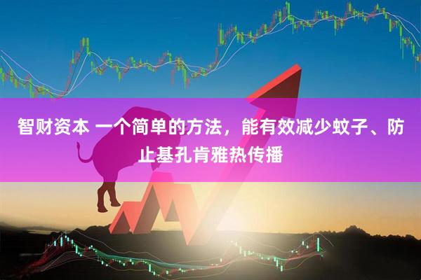 智财资本 一个简单的方法，能有效减少蚊子、防止基孔肯雅热传播
