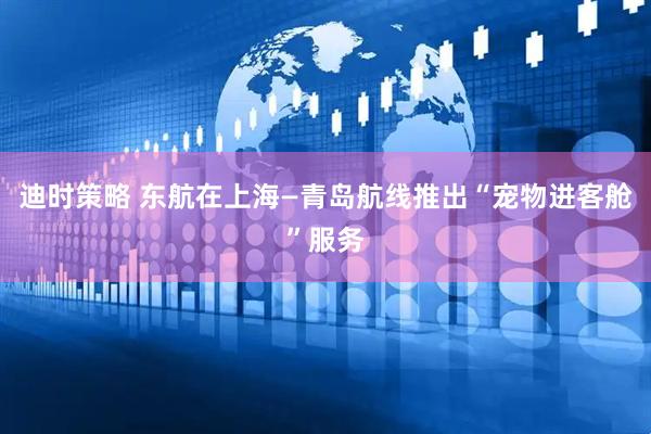 迪时策略 东航在上海—青岛航线推出“宠物进客舱”服务