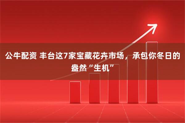 公牛配资 丰台这7家宝藏花卉市场，承包你冬日的盎然“生机”