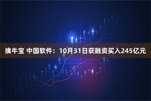 擒牛宝 中国软件：10月31日获融资买入245亿元